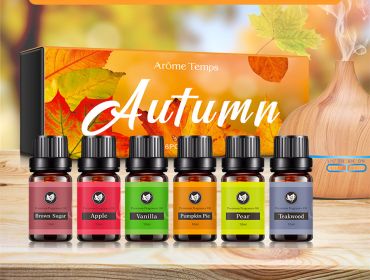 16 Theme Atmosphere Flameless Essential Oil Sets (option: Autumn suit)