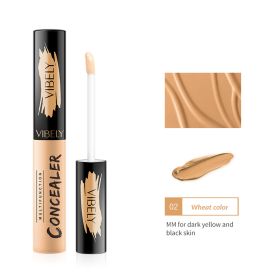 Concealer For Repairing Acne Marks With Concealer Solution (option: Wheaten)